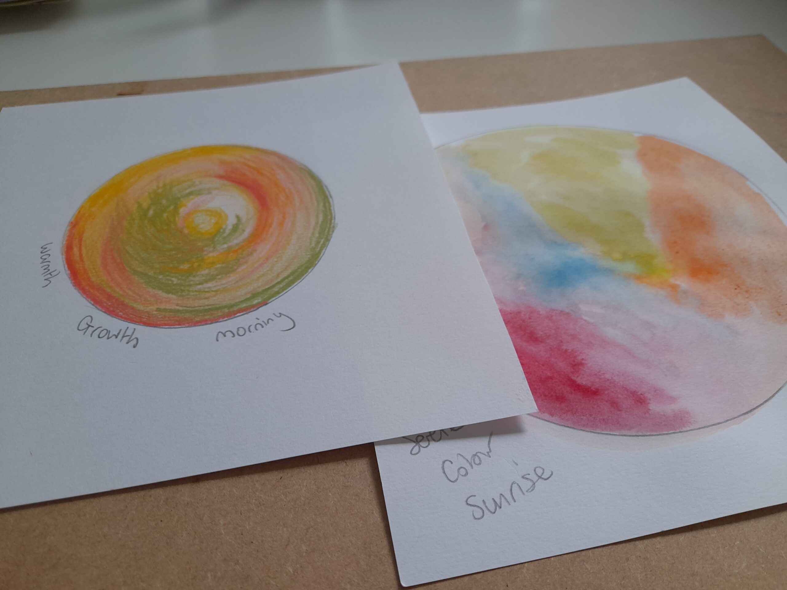 An image of two hand-drawn circles with many colours shaded inside